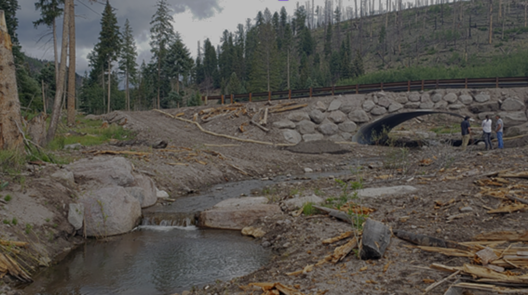 Post-Wildfire Recovery Through Principles of Engineering with Nature Cover Photo